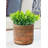 Gaylor Wood Cachepot-2027825117