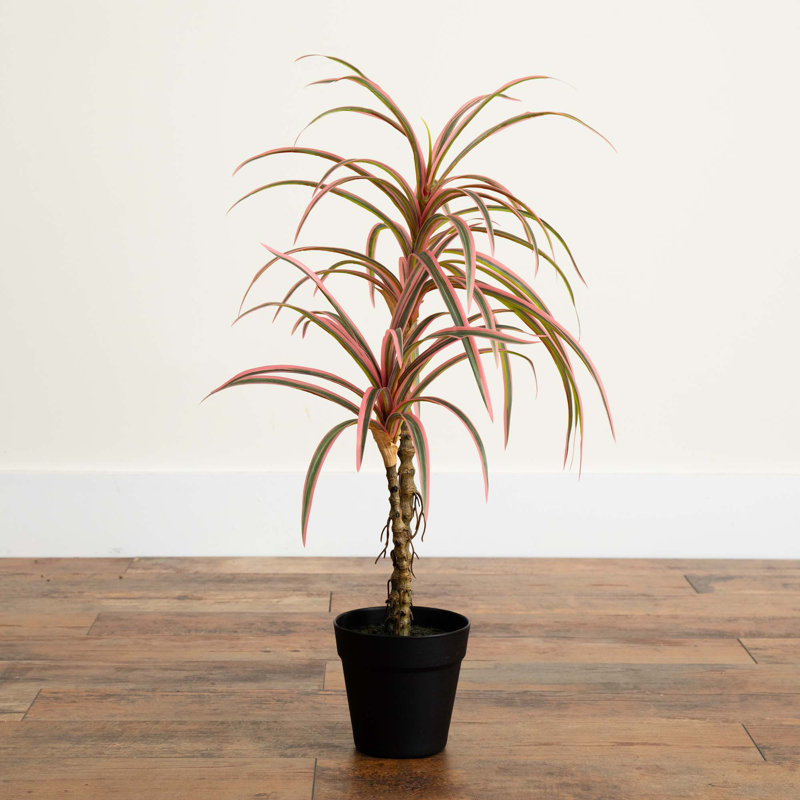 24 po Faux Dracaena plante en pot