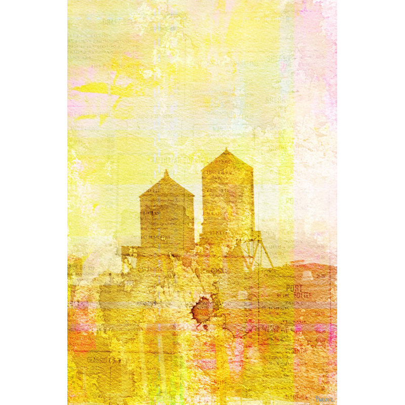 Parvez Taj - Wrapped Canvas Print, 61cm H x 41cm W