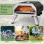 Dakota Fields Briggston Countertop Propane Pizza Oven