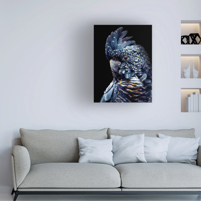 Bolog Lola Peacock Blackcockatoo2 Canvas Art