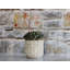 Pots de fleurs Salinas en céramique émaillée (lot de 6) - Intérieur/Extérieur-4142389
