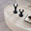 Table basse moderne et ovale, élégante pour le décor et l'utilisation d'un salon