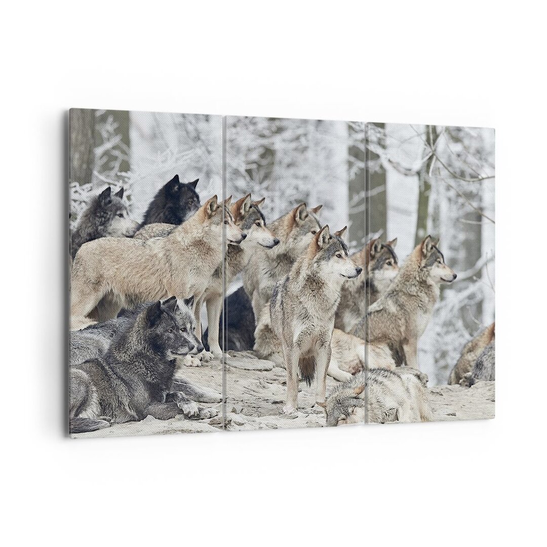 3-tlg. Leinwandbilder-Set Pack Wolves Winter