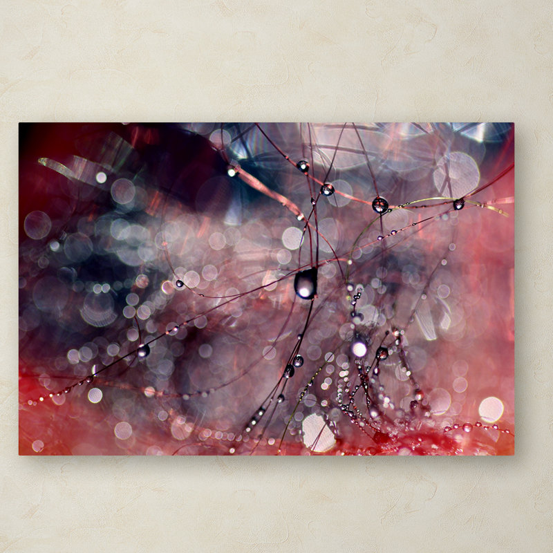 « outside the box », reproduction de photo sur toile, H 16 po x l 24 po x P 2 po