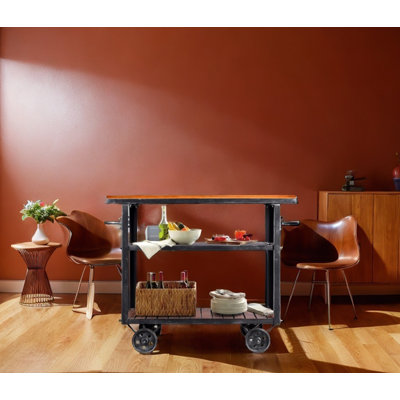 Belandina Metal Bar Cart by 17 Stories