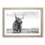 Highland Cow in Abstract - Framed Print-55763257-55763261
