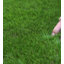 Brontie 30mm Kids & Pet-Friendly Artificial Grass For Patio-4m(13'1") X 2m(6'6")-8m²