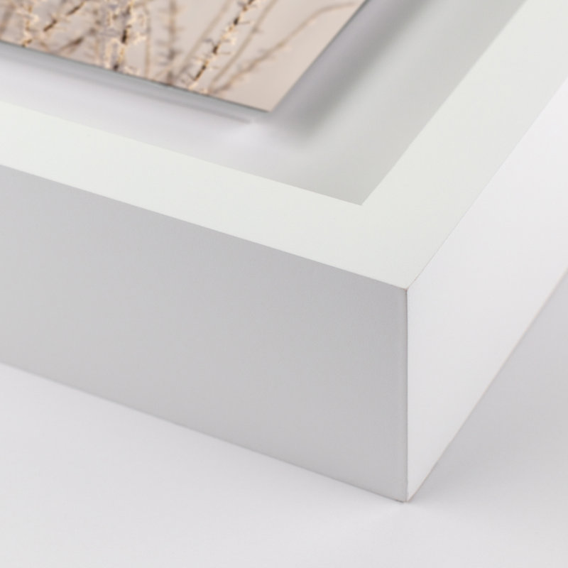 Hoar Frost White Print by Pernille Westh, White, 40" H x 40" W x 2.5" D