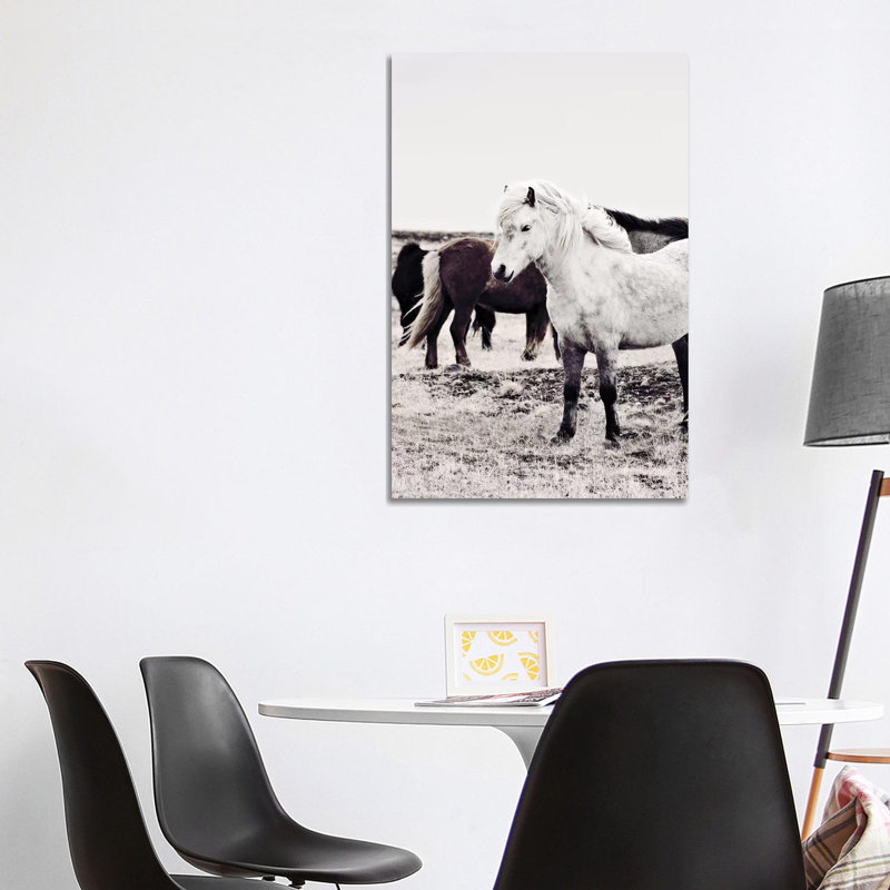Iceland Horse Bjarmi by Monika Strigel - Wrapped Canvas Print, 101.6 cm H x 66.04 cm W x 1.91 cm D