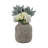 Decorative Vase Pottery Terracotta Modern Stylish Handcrafted Accent Jar Clay Rustic Artisan Versatile Home Tabletop Decor-691740911