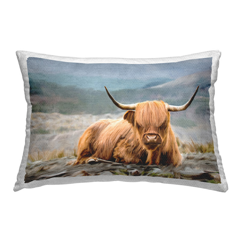 Coussin d'extérieur Windswept Highland Cow par Kim Allen