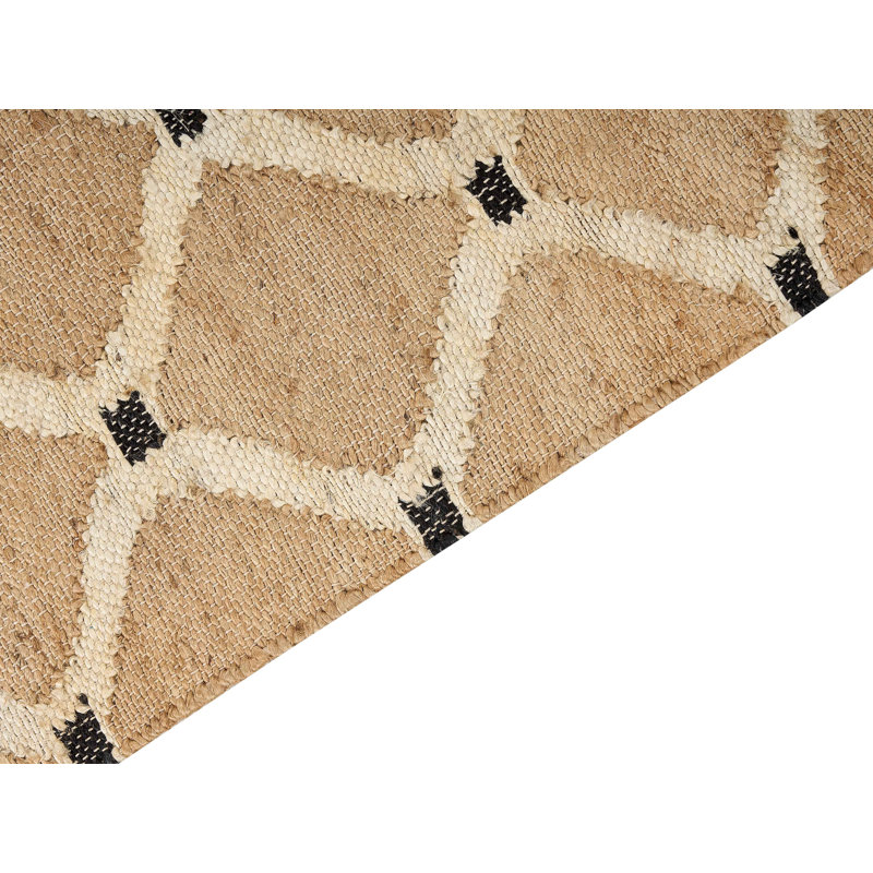 Mishawaka Geometric Hand Woven Area Rug, Rectangle 200 x 300cm