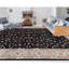 Elegance Oriental Area Rug in Black/Ivory