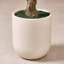 Olive artificielle Ashwell avec pot blanc-155919474