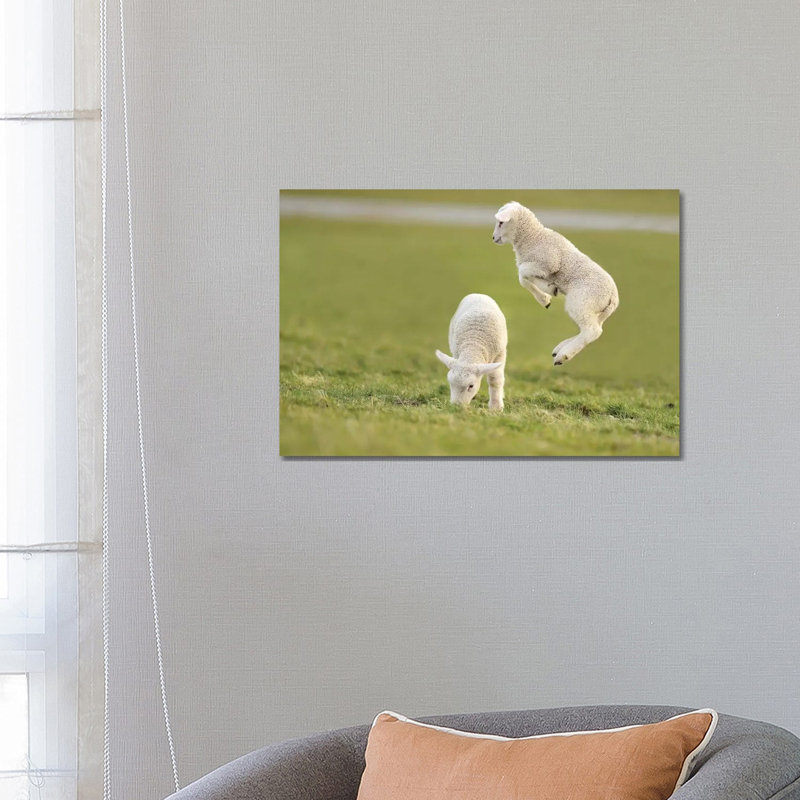 Jumping Lamb IV by Elmar Weiss - Wrapped Canvas Gallery-Wrapped Canvas Giclée, 66.04 cm H x 45.72 cm W x 3.175 cm D