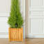 Wood Planter Box-1622578967