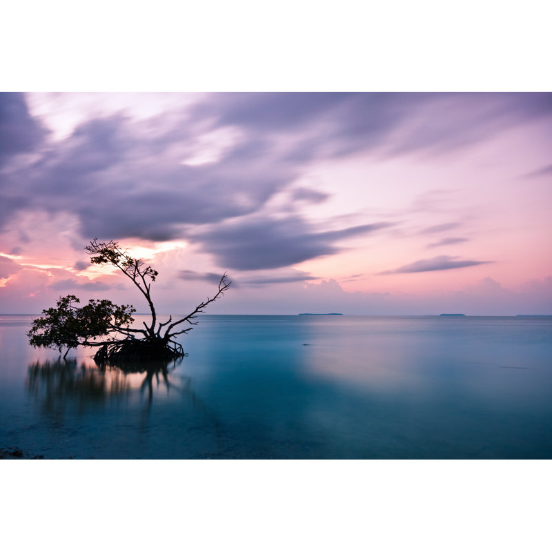 Sunrise In The Everglades National Park by MoreISO - Wrapped Canvas Print, 20cm H x 30cm W