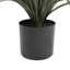 Yucca artificiel en pot-125320799-83242077
