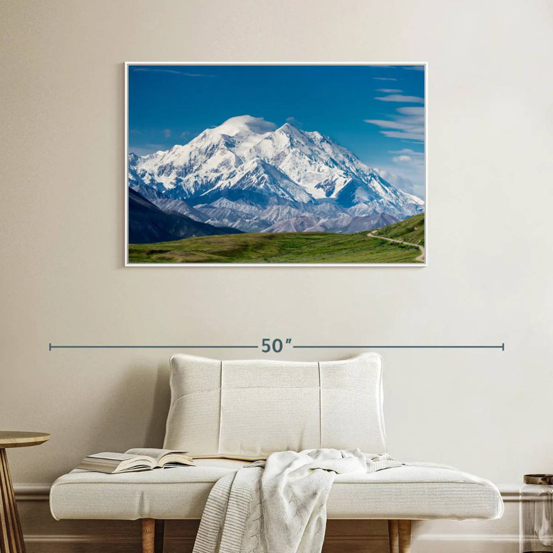 Mont McKinley Denali, Cadre flottant blanc, 40 po x 27 po