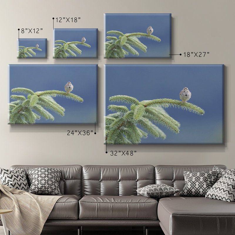 Toile tendue de qualité supérieure Evergreen Perch Gallery - prête à être accrochée, H 18 po x l 27 po