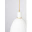 Copake 1 Light Pendant