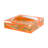 Tiger Seeing Double Orangerie Acrylic Candy Catchall Dish