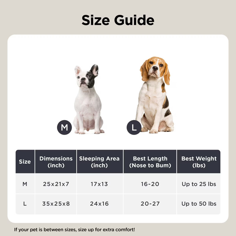 Lit pour chien avec traversin et housse lavable avec rembourrage en molleton Bubble, Crème, L (8" H x 35" W x 25" D)