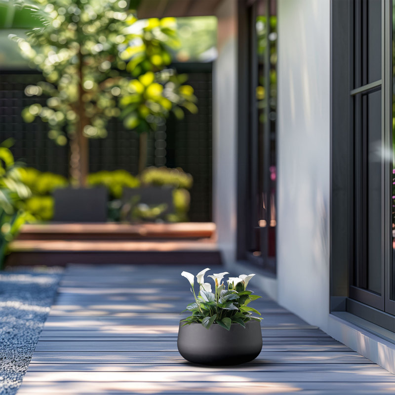 Pot à fleurs en béton Renfrew, H 5,91 po x l 11,81 po x P 11,81 po, Noir anthracite