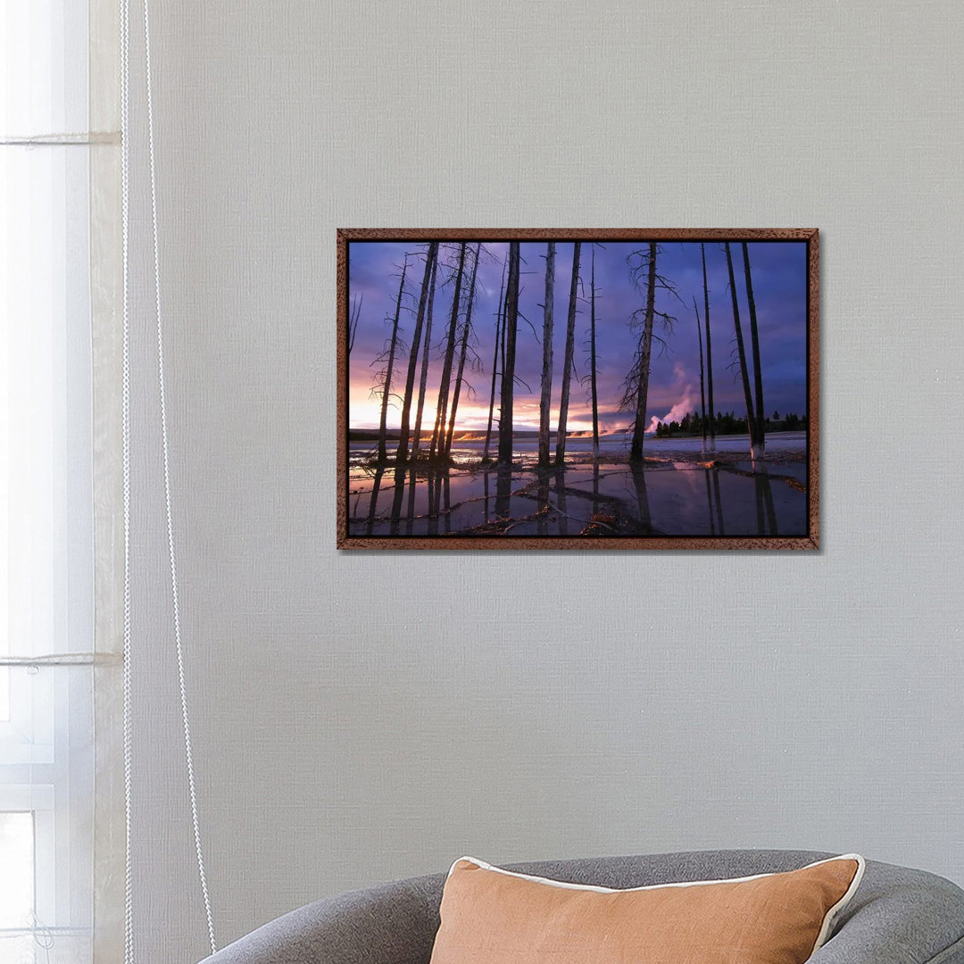Dead Trees In Lower Geyser Basin At Sunset, Yellowstone National Park, Wyoming by Tim Fitzharris - Gallery-Wrapped Canvas Giclée on Canvas