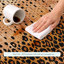 Tapis moderne lavable à la machine intérieur / extérieur ACN2801-1637102897-1637102910