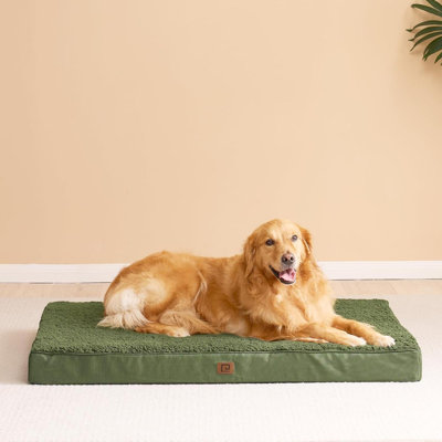 Lits orthopédiques pour chien très grand avec housse amovible et lavable pour cage, 41 x 27