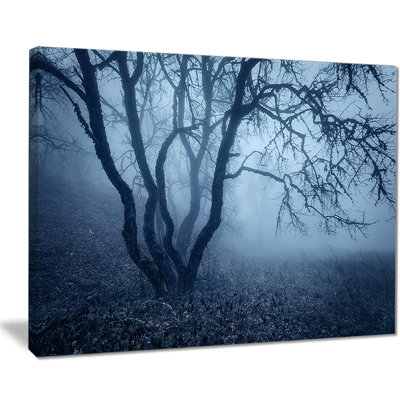 «Tree in Foggy Dark Forest», reproduction de photo sur toile tendue