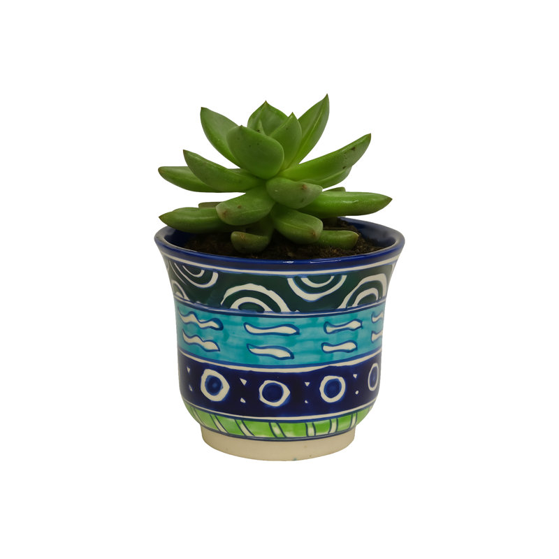 Multicolore pot à fleurs Home & Manor