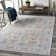 Infinity Oriental Indoor Rug
