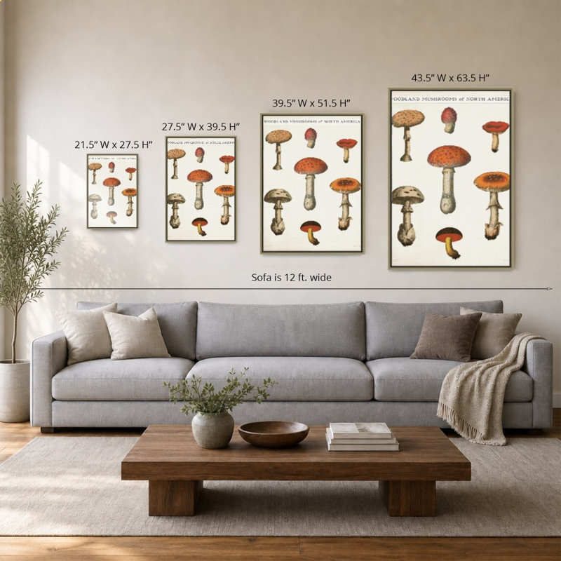 «Mushroom Chart III Light» par Wild Apple Portfolio - impression sur toile, 40" H x 28" W, Champagne