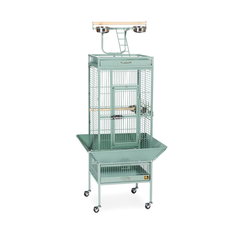 Cage à oiseau avec roues, support, perchoir, plateau Lucile, Petit (H 57 po x l 18 po x P 18 po), Vert sauge