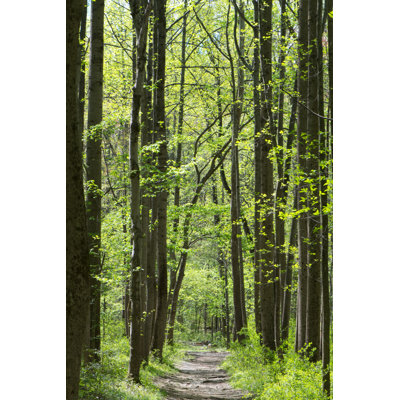 " Green Mountains Vermont "