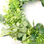 Faux Plastic 50cm Wreath