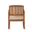 Brizio Outdoor Chair