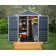 Palram - Canopia Skylight Polycarbonate Storage Shed