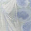 Caspia Wp - Amsonia-31664725
