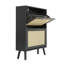 Craven Cane Shoe Cabinet