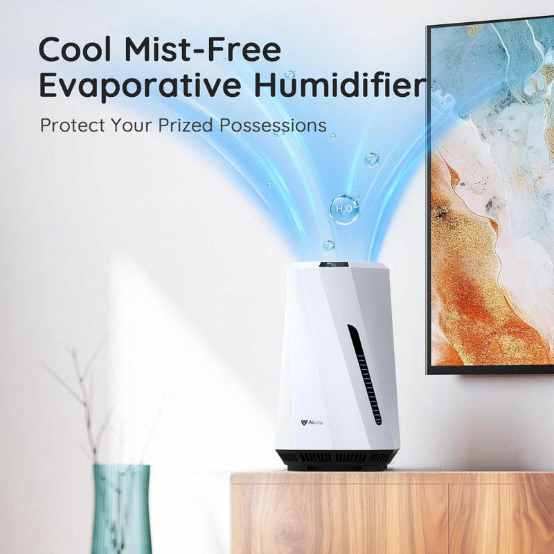 Humidificateur par évaporation sans moisi Airdog MOI 