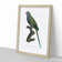 Monk Parakeet by F. Levaillant - Picture Frame Art Print