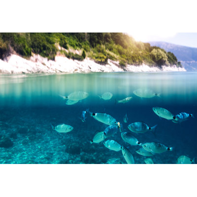 Poissons dans la mer par Borchee
