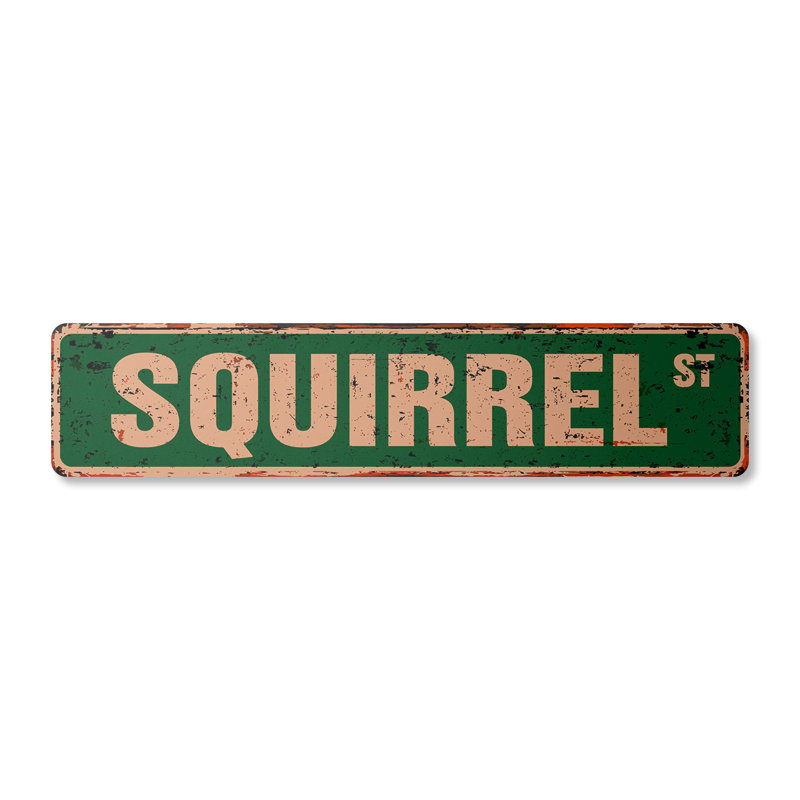 Plaque de rue écureuil en aluminium 4 po x 18 po