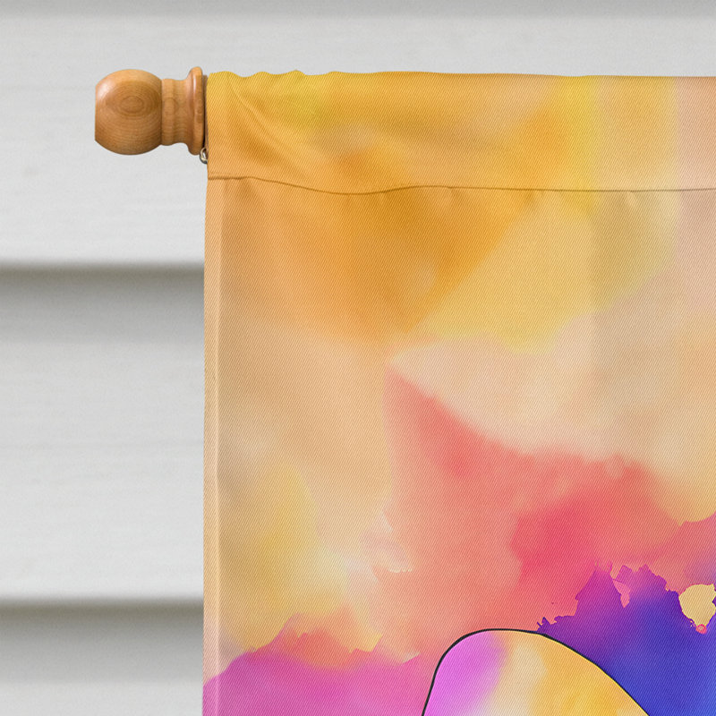 Drapeau de maison de guépard hippie