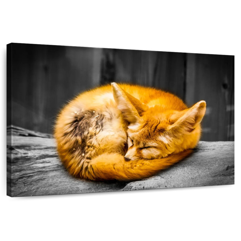 Brampt Fox Sleeping, 34" H x 51" W