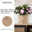 Wood Pot Planter-92659195